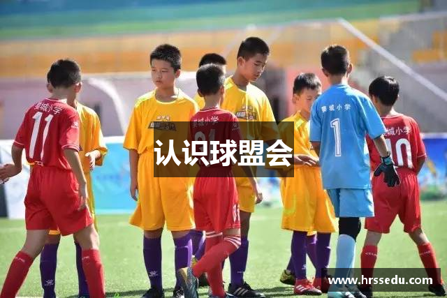 认识球盟会